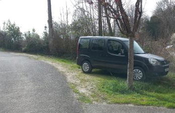 La troglo aux oiseaux - Foto 26