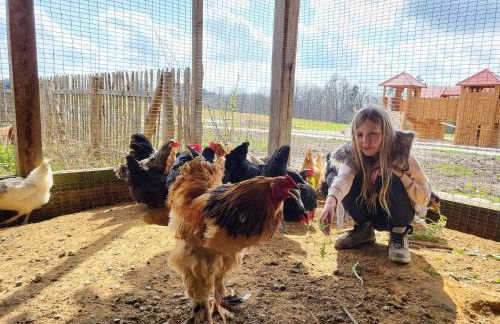 Ferienhof Gutmichel - Foto 14