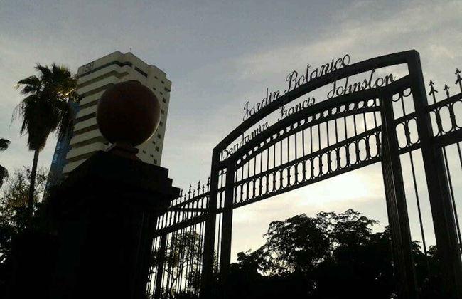 Los Mochis Tour - Foto 7