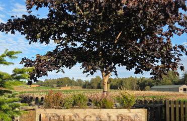 The Cairn at North Lodge, Rural Guest Suite - Foto 30