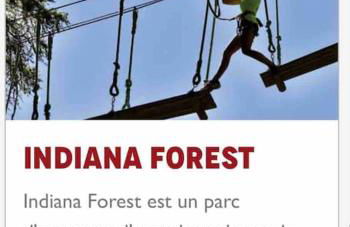 Duplex a l'hostellerie - Foto 15