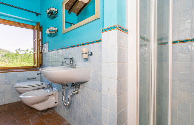 Francigena - Foto 22