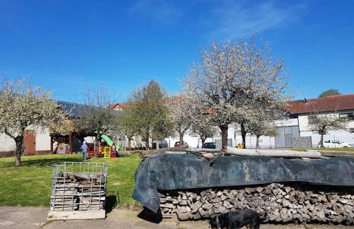 Ferien-/Monteurwohnung im Odw. - Photo 17