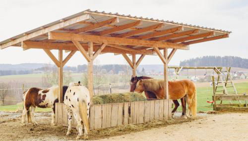 Ferienhof Kosertal - Erlebnisbauernhof, Reitstall & Spa - Foto 3