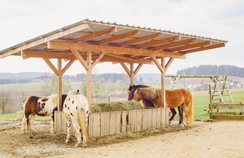 Ferienhof Kosertal - Erlebnisbauernhof, Reitstall & Spa - Foto 3
