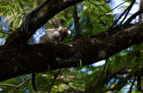 Casa Condominio Piccola Paraty - Photo 21