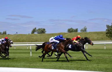 Mill House Townhouse - Foto 30