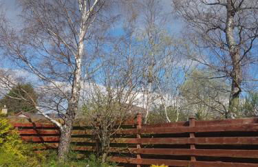 Orange Squirrel Lodge - Foto 23