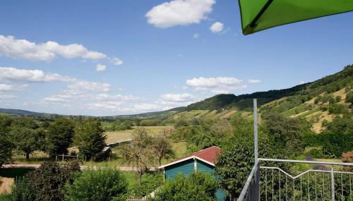 Moseltraum-Villa Kenn bei Trier - Foto 3, Garden