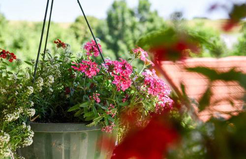 House Jole - Foto 69