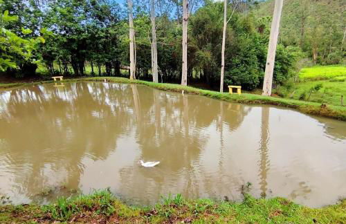 Sítio com piscina e lago - Foto 25