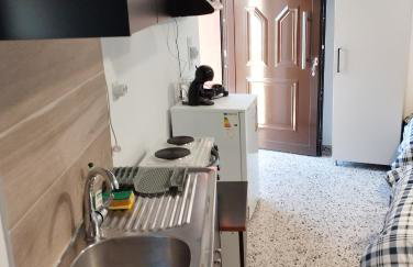 Ξενώνας museum ισόγειο στο Ελληνικό Ιωαννίνων - Foto 8