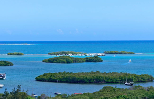 Paseo privado en barco por la bahía bioluminiscente - Foto 1