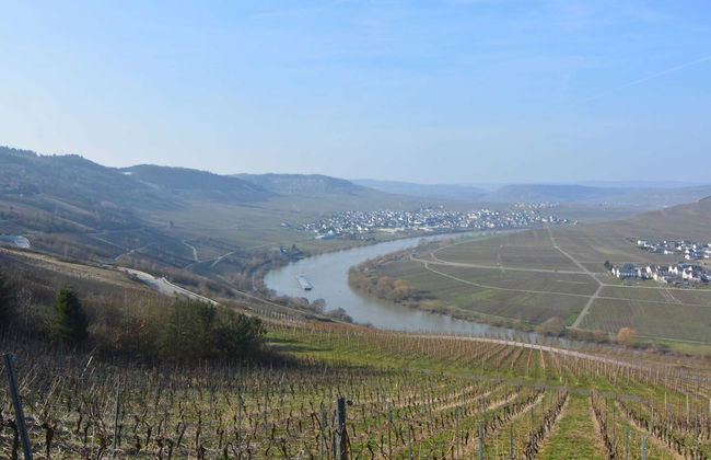 Peaceful Holiday Home in Rascheid near Forest - Foto 45