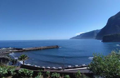 Lazy Lizard by the Ocean - Foto 47