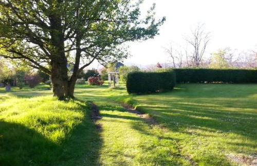 Home Comforts in Peaceful 2 Acres - Photo 14