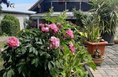 Ferienwohnung Relax - Foto 27