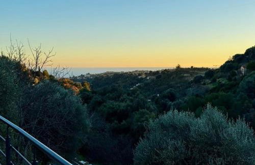 La costière - Foto 1