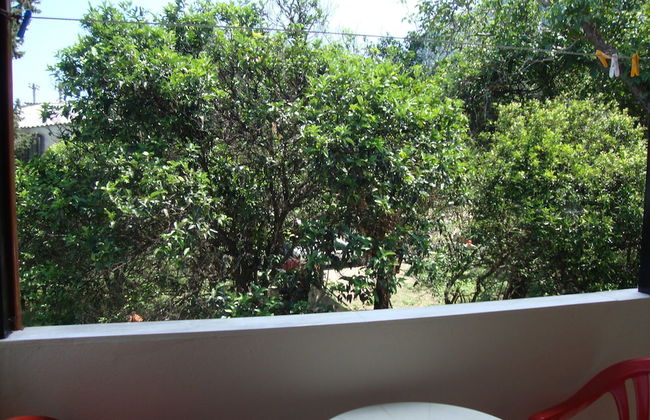 Anya Studios - Foto 5