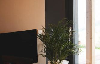 La Collina dei Gelsi - Foto 19