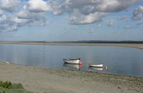 Gites aux oiseaux - Foto 27