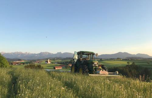 Bauernhof Hipp Ferienwohnung - Foto 23