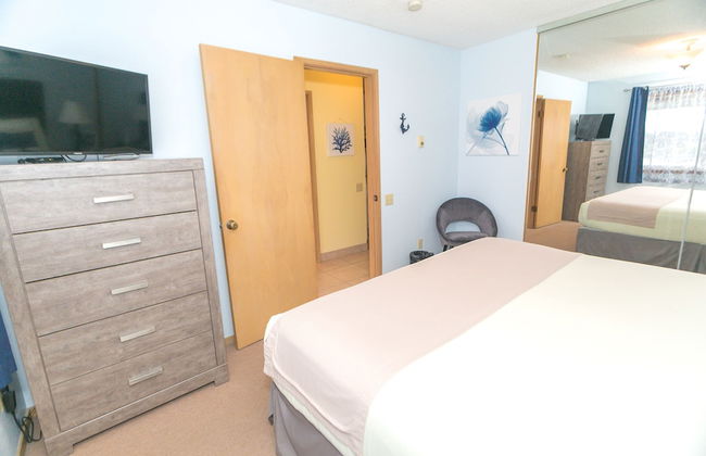 The Grey Gull - Foto 74