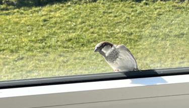 HaRe Ferienwohnungen - Photo 2