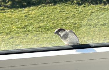 HaRe Ferienwohnungen - Foto 2