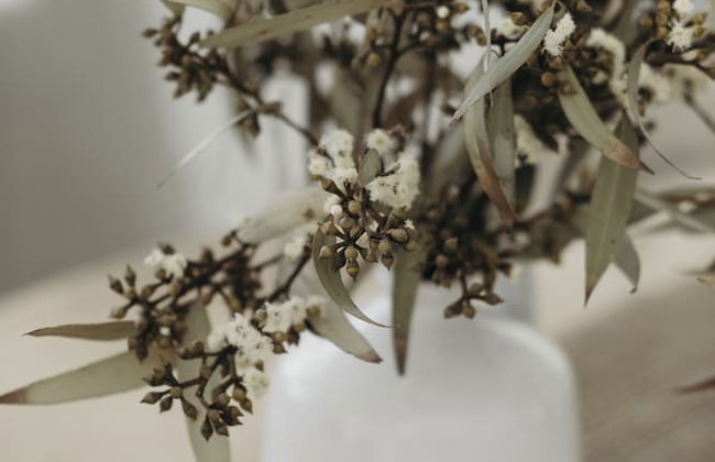 Salt At Shoal Bay - Foto 18