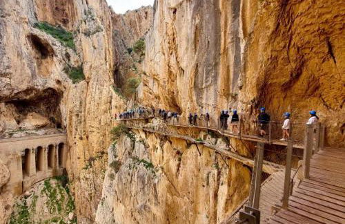 Apartamentos La Laguna - Foto 22