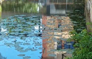 La maison au bord de l'eau - Foto 36