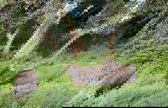 Surf N Sun - Foto 14