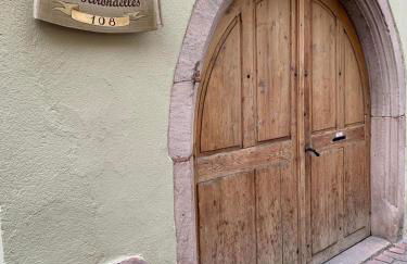 Gite Les Hirondelles 6 pers Ribeauvillé - Foto 18