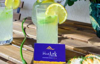 Blue Ark Harmony Residence - Foto 95