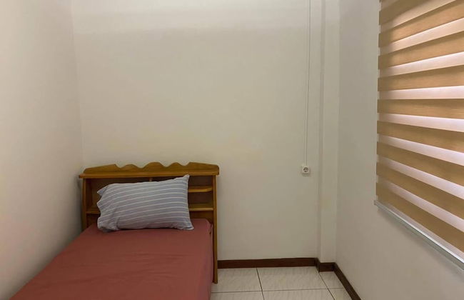 Max Garden and Pool - Photo 17