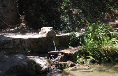 El rincón de Alájar - Foto 19