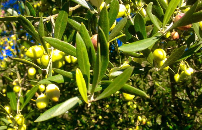 Ccb Bruskos Hotel - Foto 22