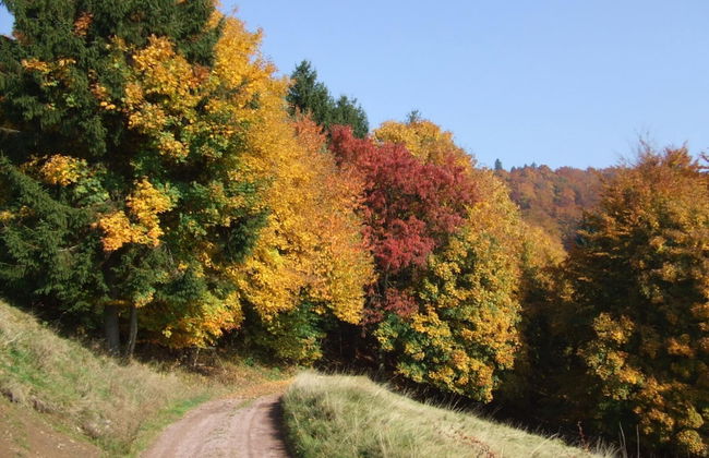 Quaint Farmhouse in Langenbach near Lake - Photo 36