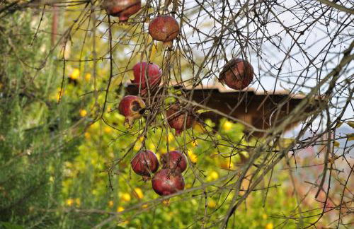 La Rocca della Magione - Foto 20