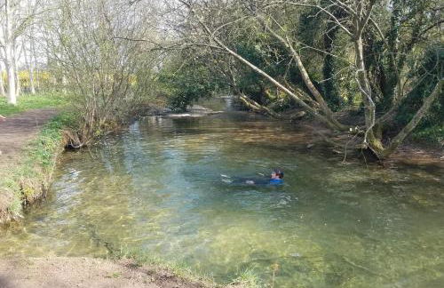 Characterful Cotswold cottage - Foto 24