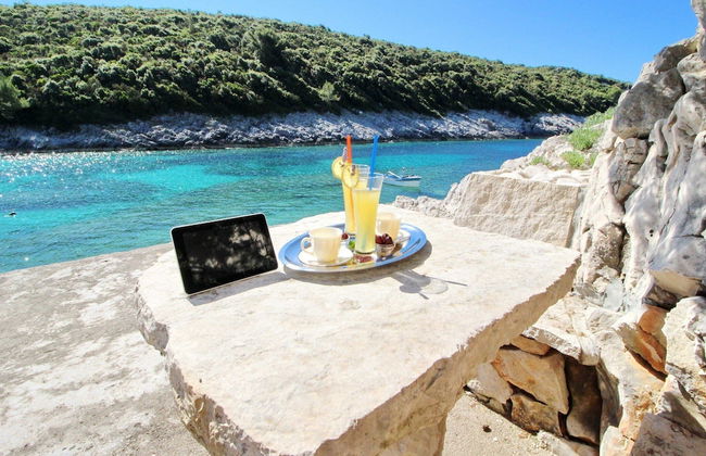 Oasis of Paradise - Photo 8