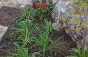 Villa Santo Antonio - Foto 32