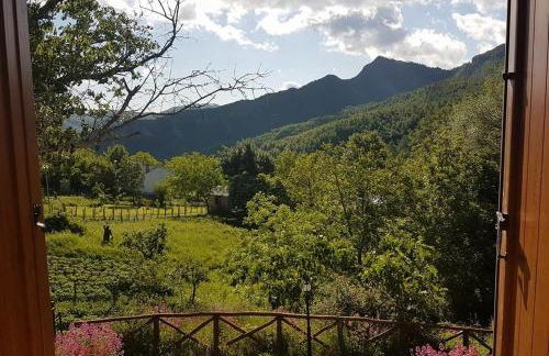 Agriturismo Il Falco del Monte Fumaiolo - Foto 24