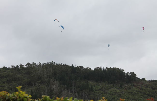 Hubbs Place - Foto 20