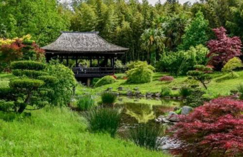 Tiny house cosy - Foto 26