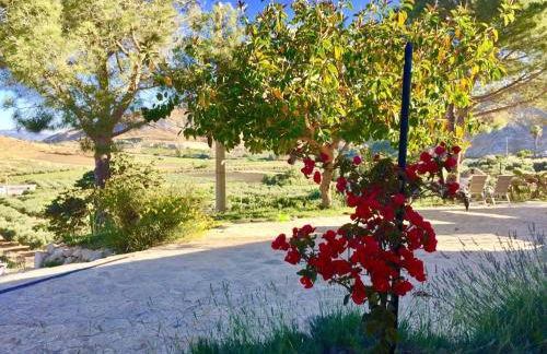 Agriturismo Casebianche - Foto 10