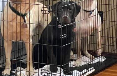 Ski Lodge Mins to White Face Mtn and Lake Placid - Foto 73