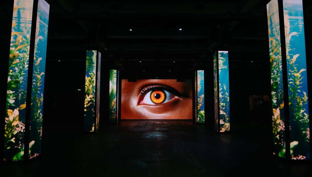 AMAZE Ámsterdam - Foto 5, Admirando los efectos especiales