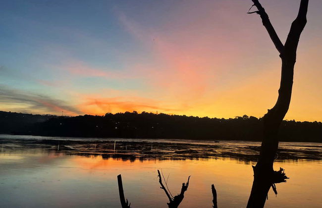 Free tour di Foz do Iguaçu - Foto 3